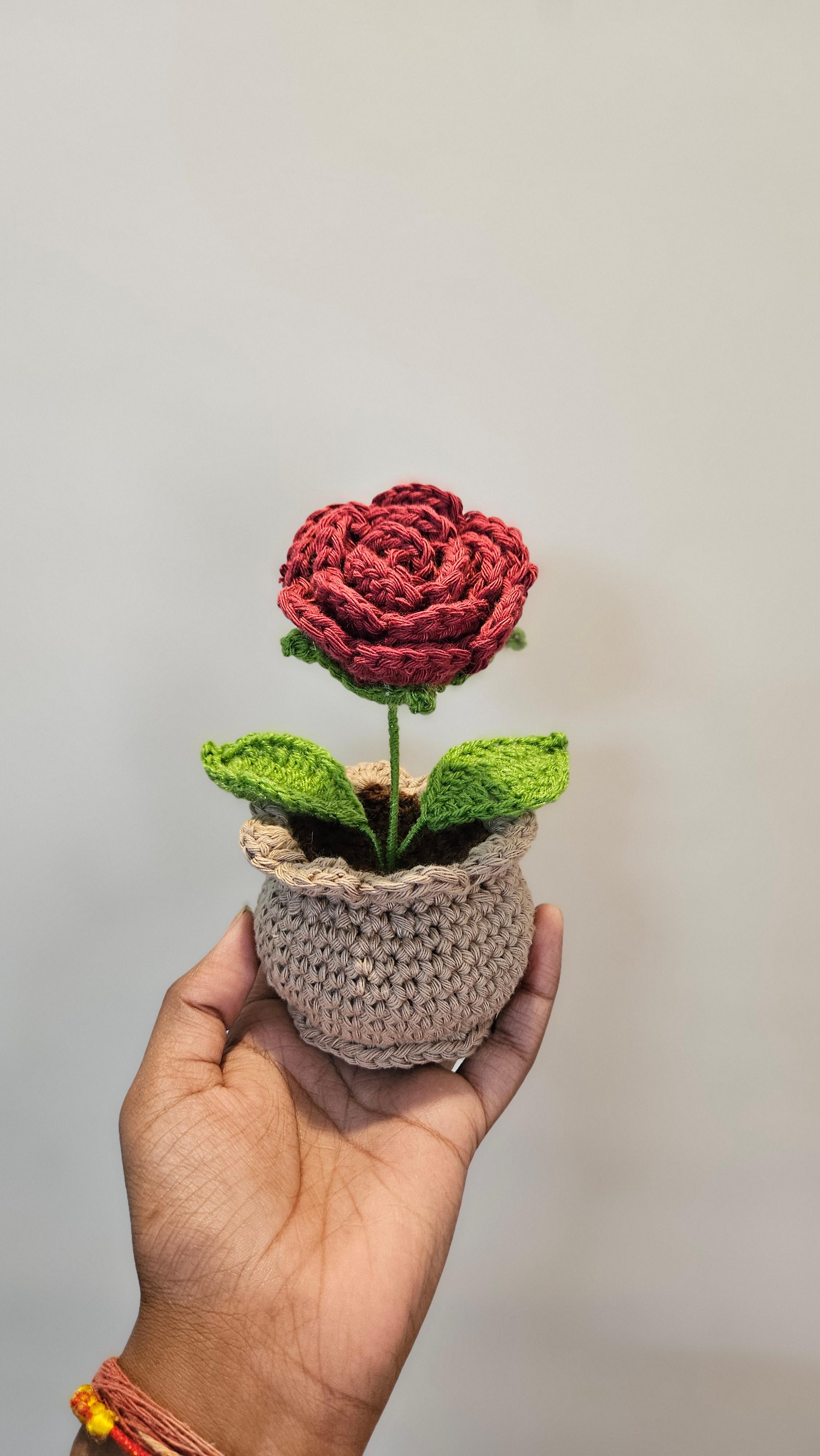 Basic rose pot