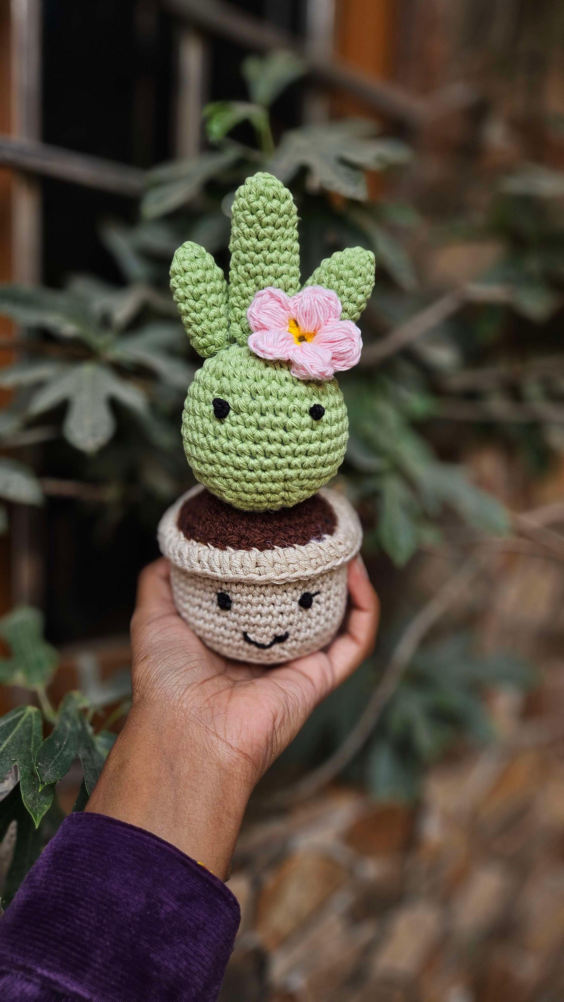 Cactus pot