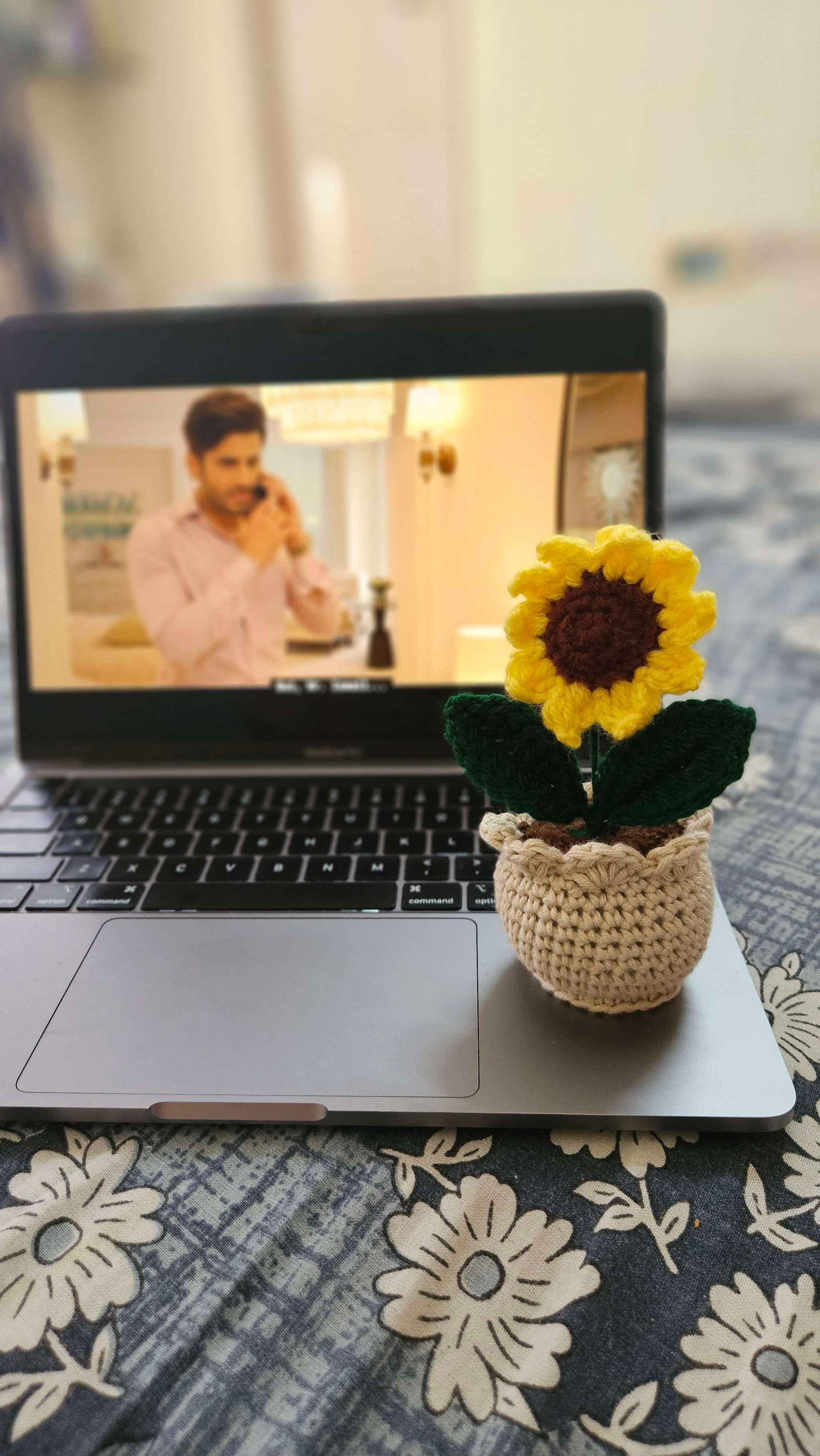 Mini sunflower pot