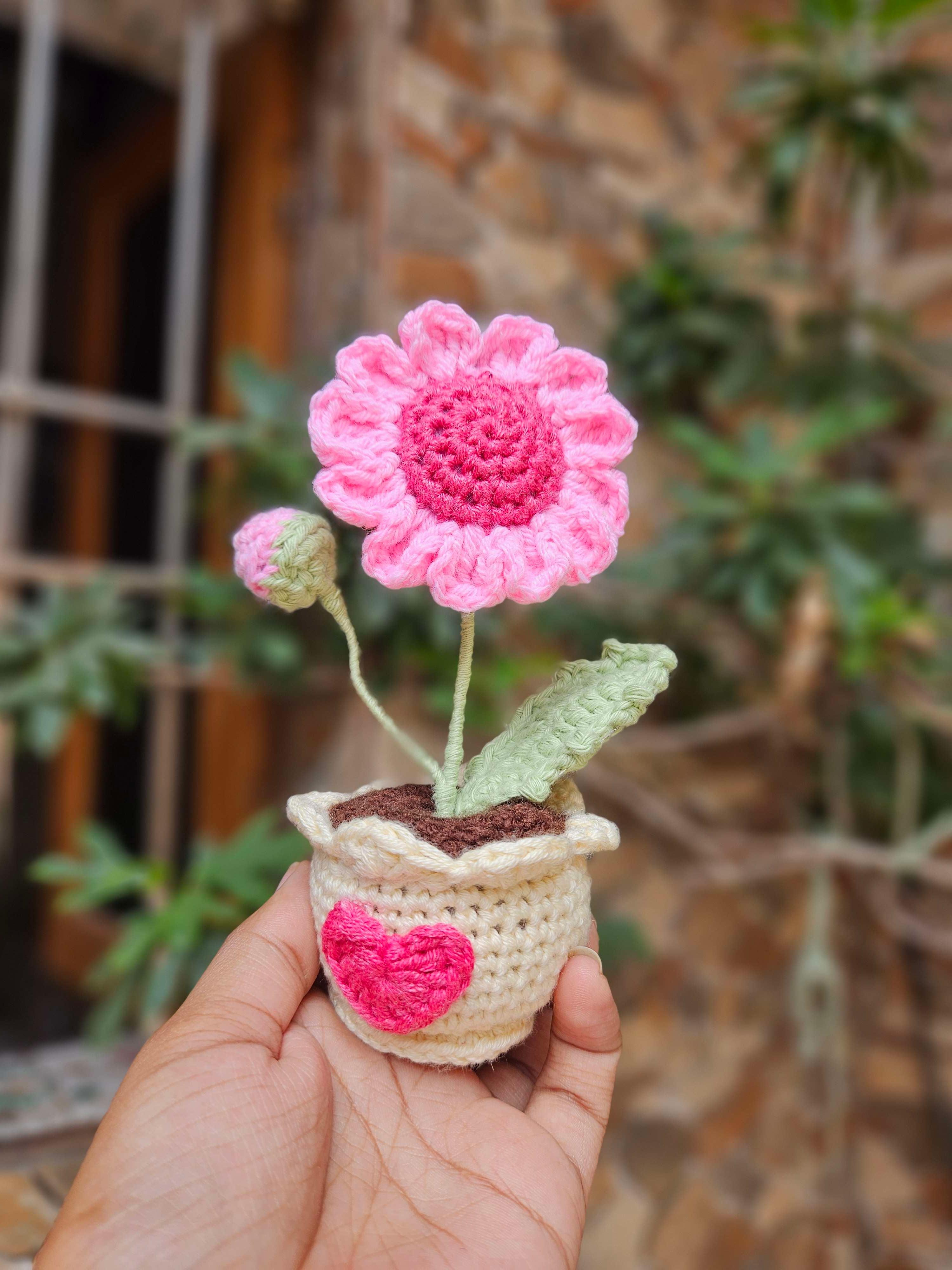 Pink Daisy pot thumbnail 2