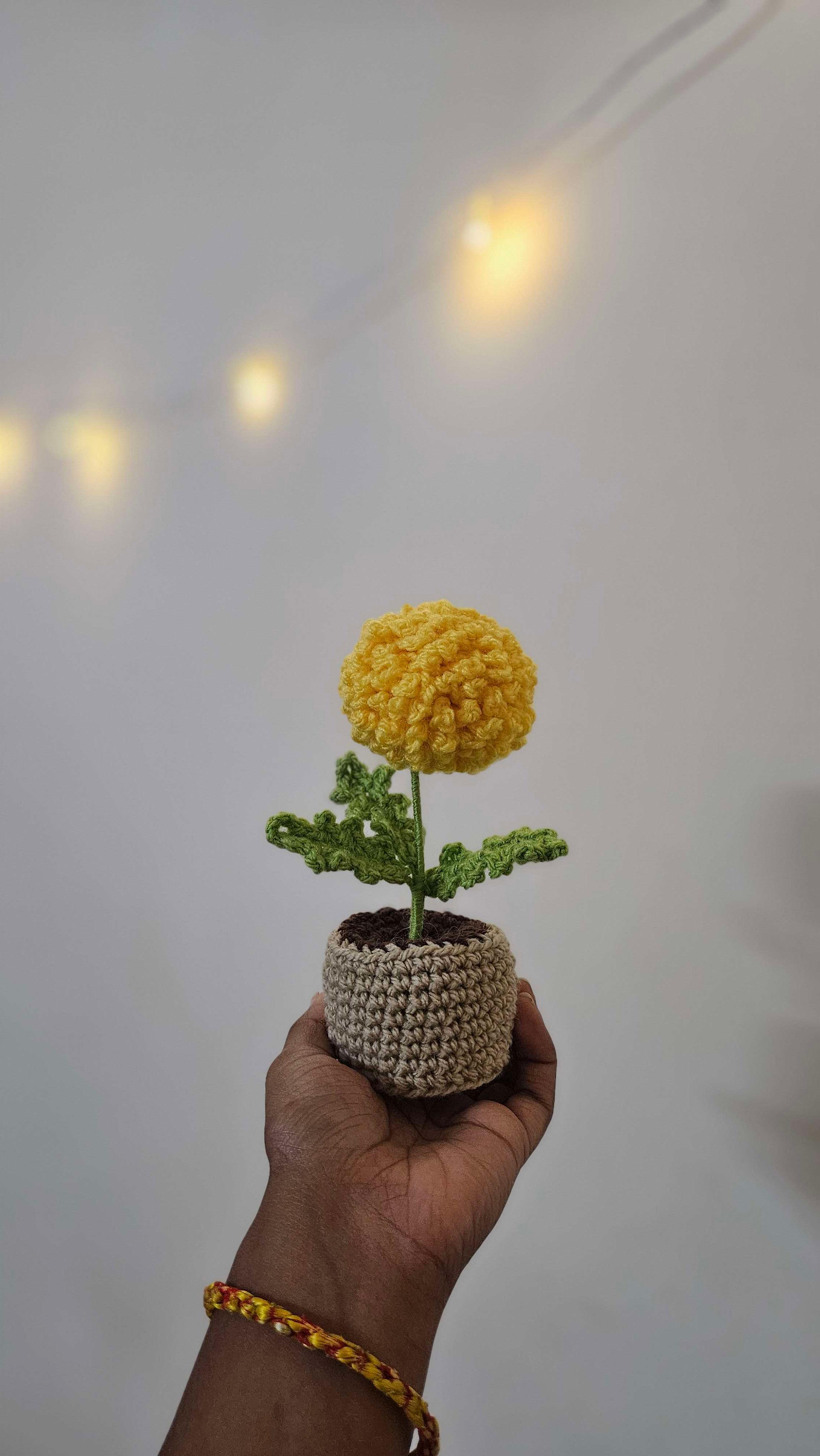 Marigold pot thumbnail 2