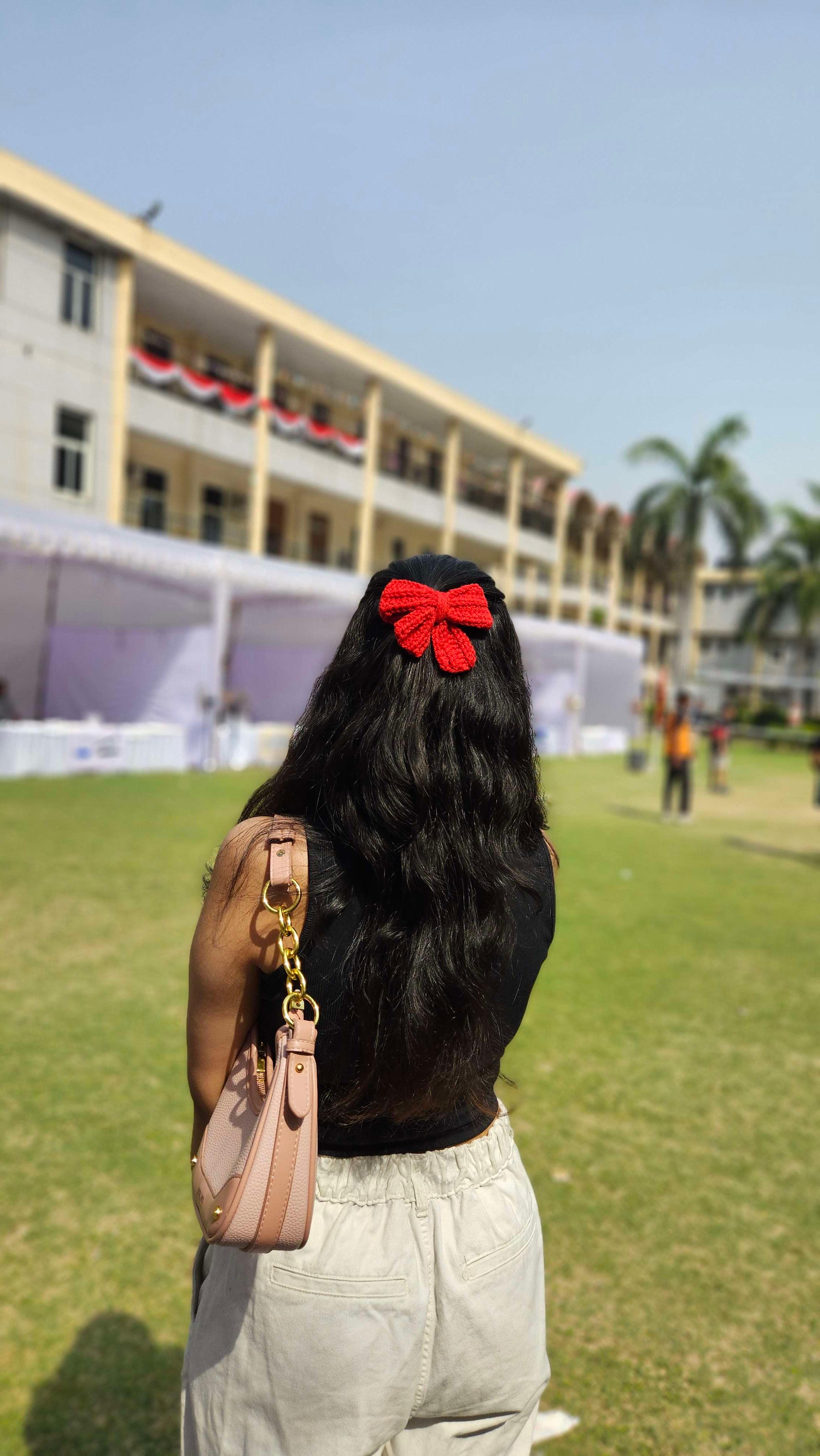 Hair bow thumbnail 4