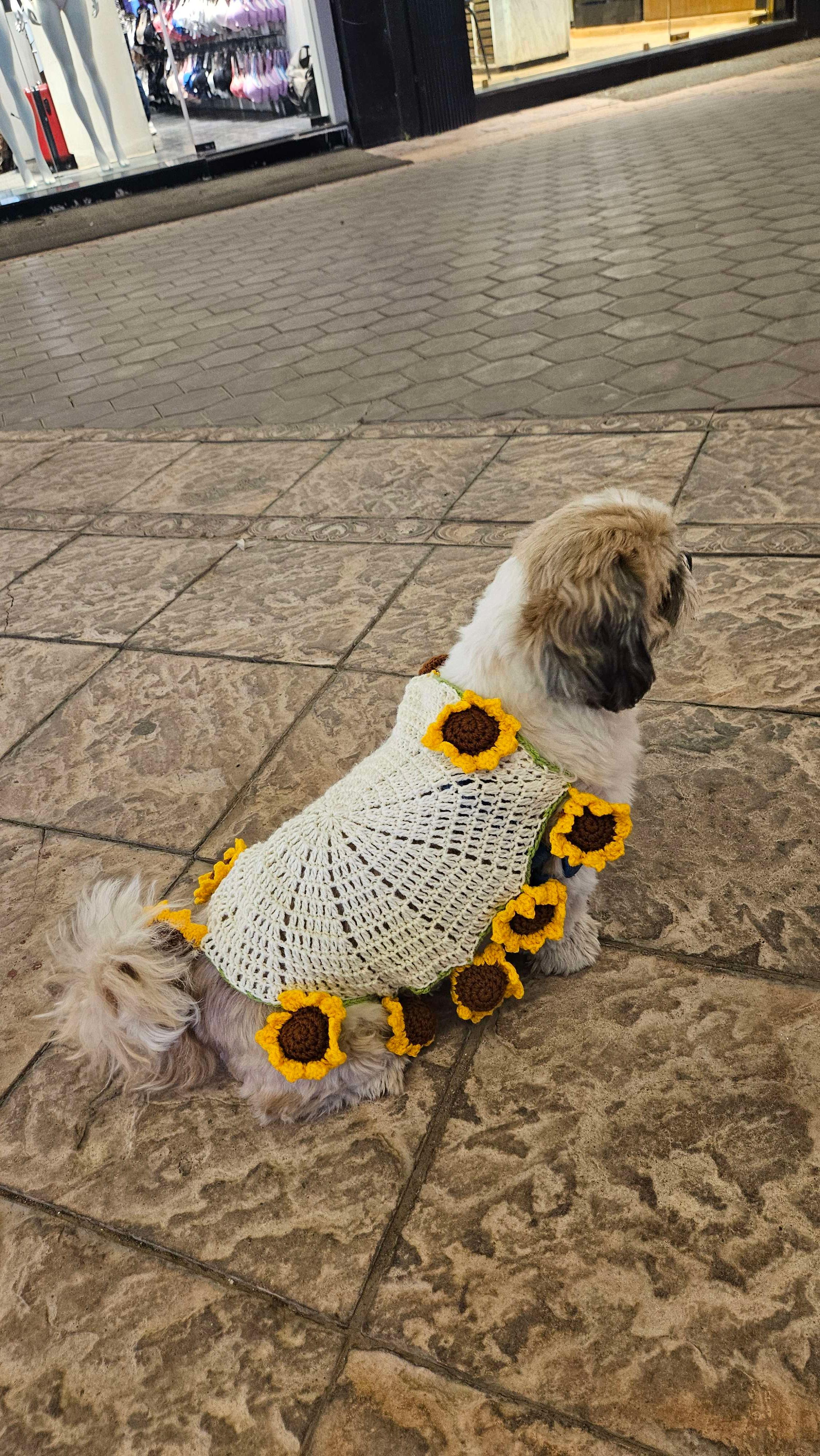 Sunflower blanket bouquet thumbnail 3