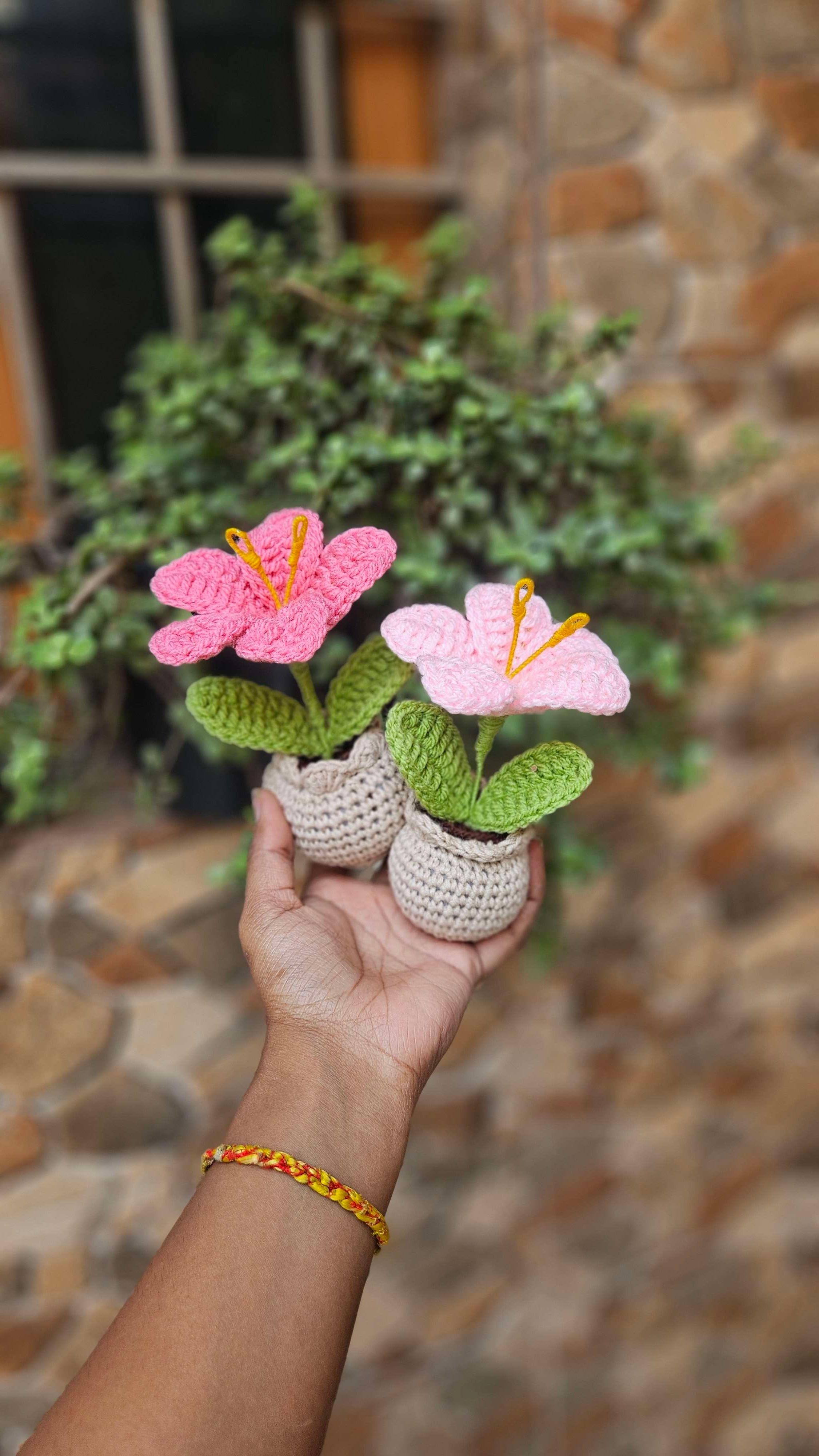 Mini lily pot